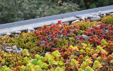 the cost of Braceby green roof installation