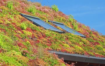Braceby living roof systems