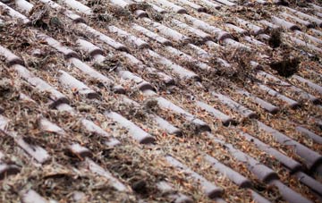 Braceby roof cleaning companies