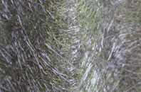 Braceby fibreglass roof work