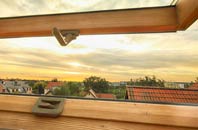 rated Braceby roof window companies
